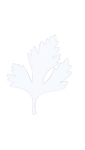 FOREST BROTHERS logo